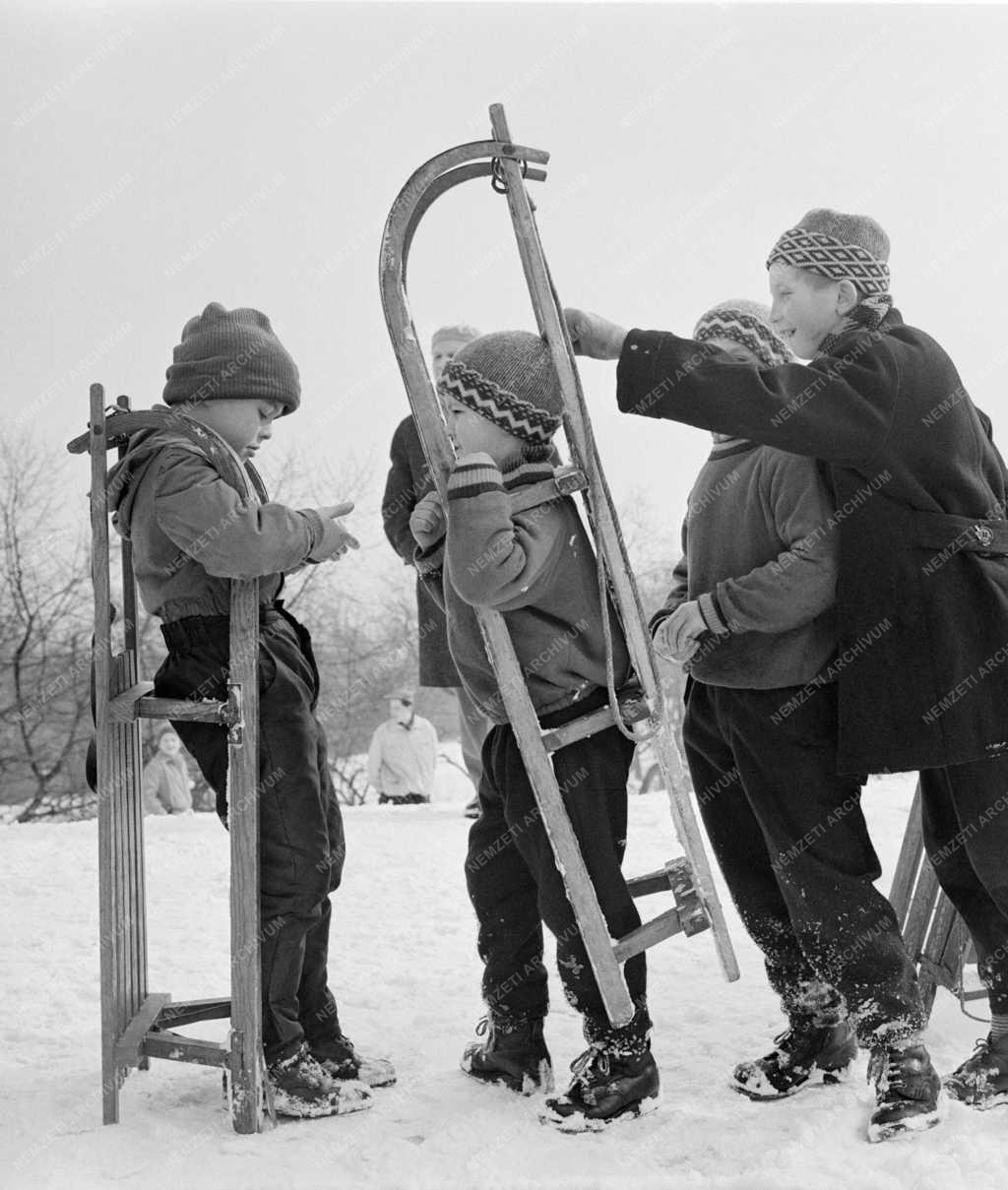 Szabadidő - Sport - Szánkóverseny a Normafánál