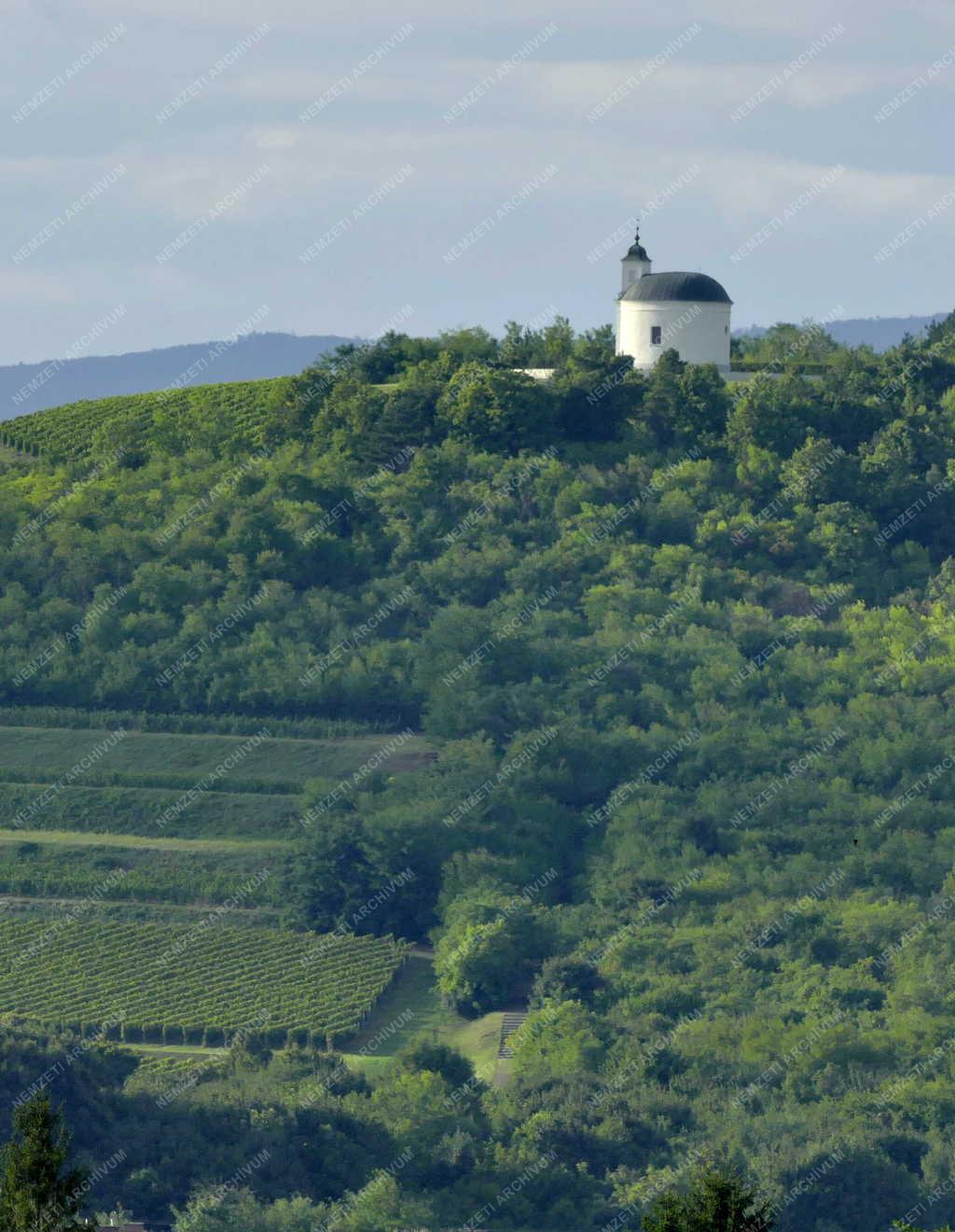 Település - Tarcal - Szent Teréz-kápolna a Henye dombon