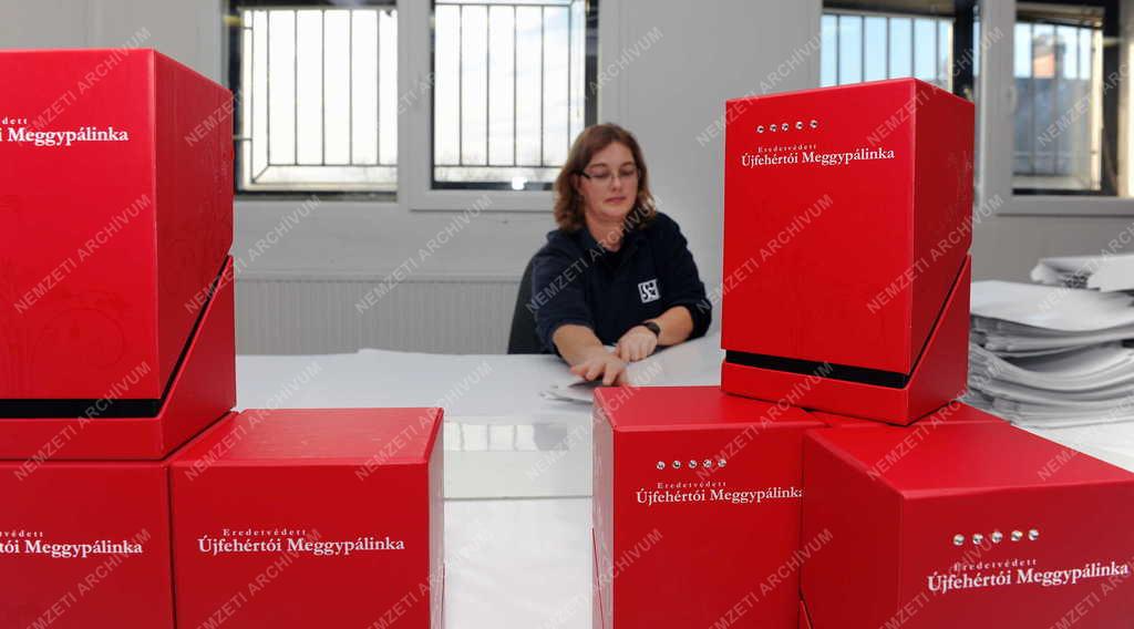 Vállalkozás -  Sz- Variáns Csomagolástechnikai Kft.