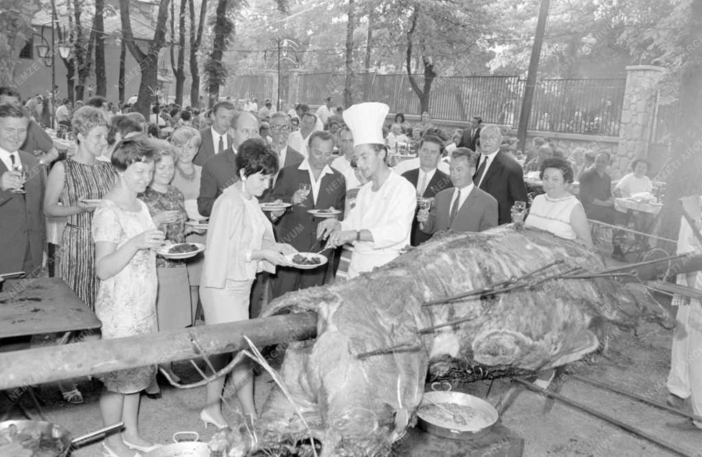 Városkép-életkép - Ökörsütés a Normafánál