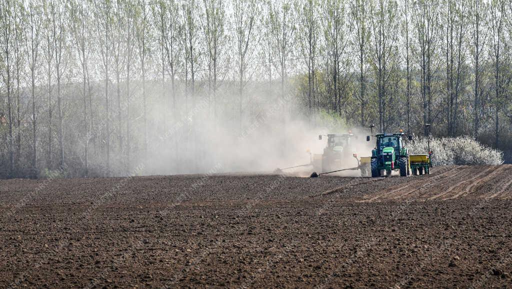 Mezőgazdaság - Debrecen - Kukorica vetés 