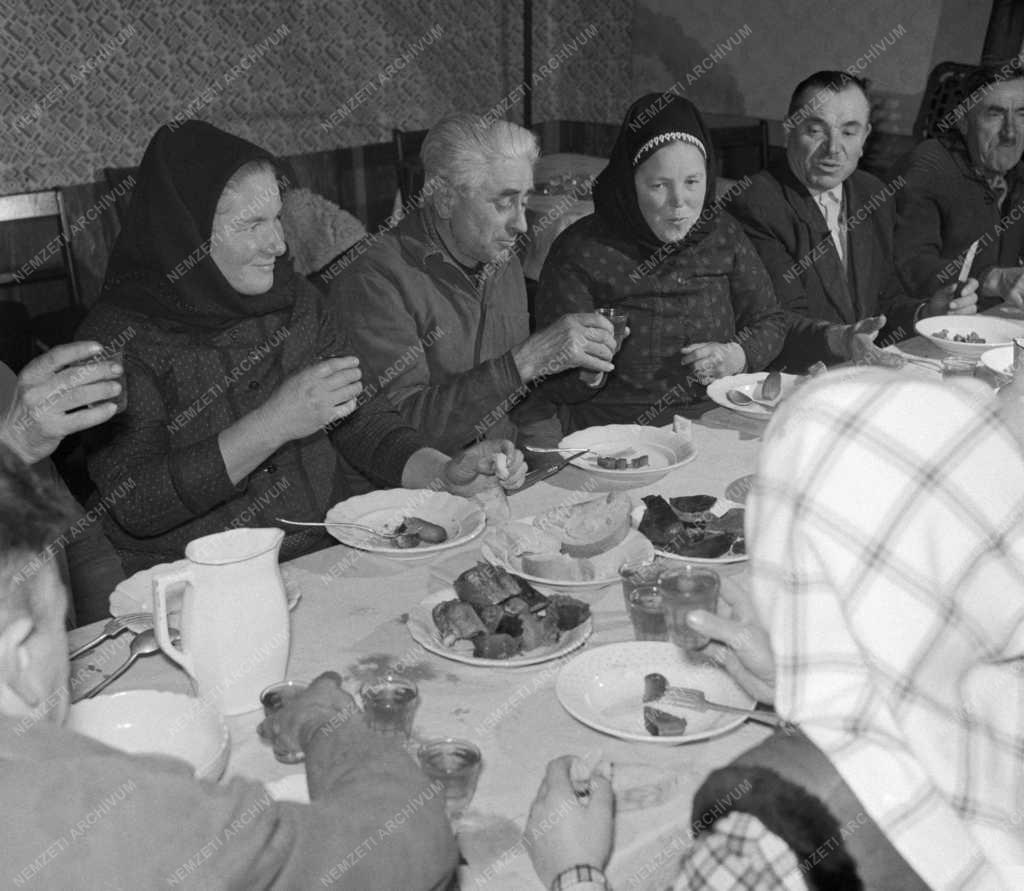Gazdaság - Állattenyésztés - Disznóvágás a nagytarcsai Rákóczi Tsz-ben