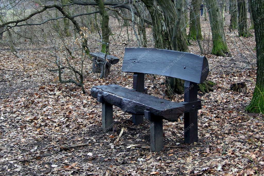Természet - Táj - Turista pihenőhely az erdőben