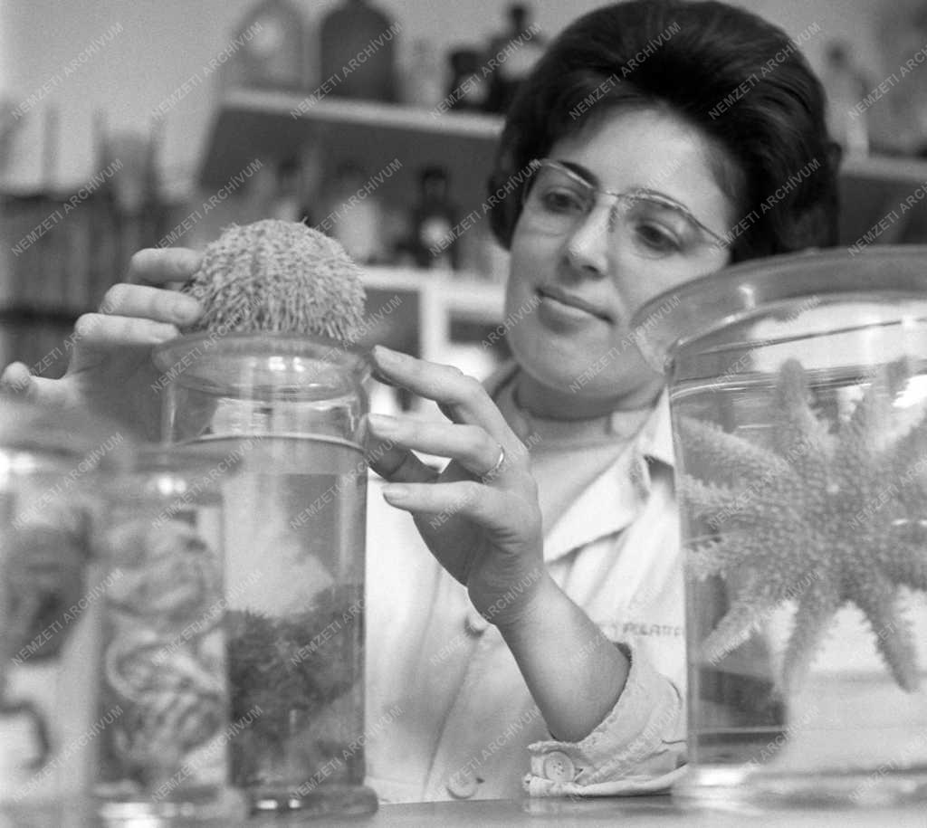 Tudomány - Kossuth Lajos Tudományegyetem 