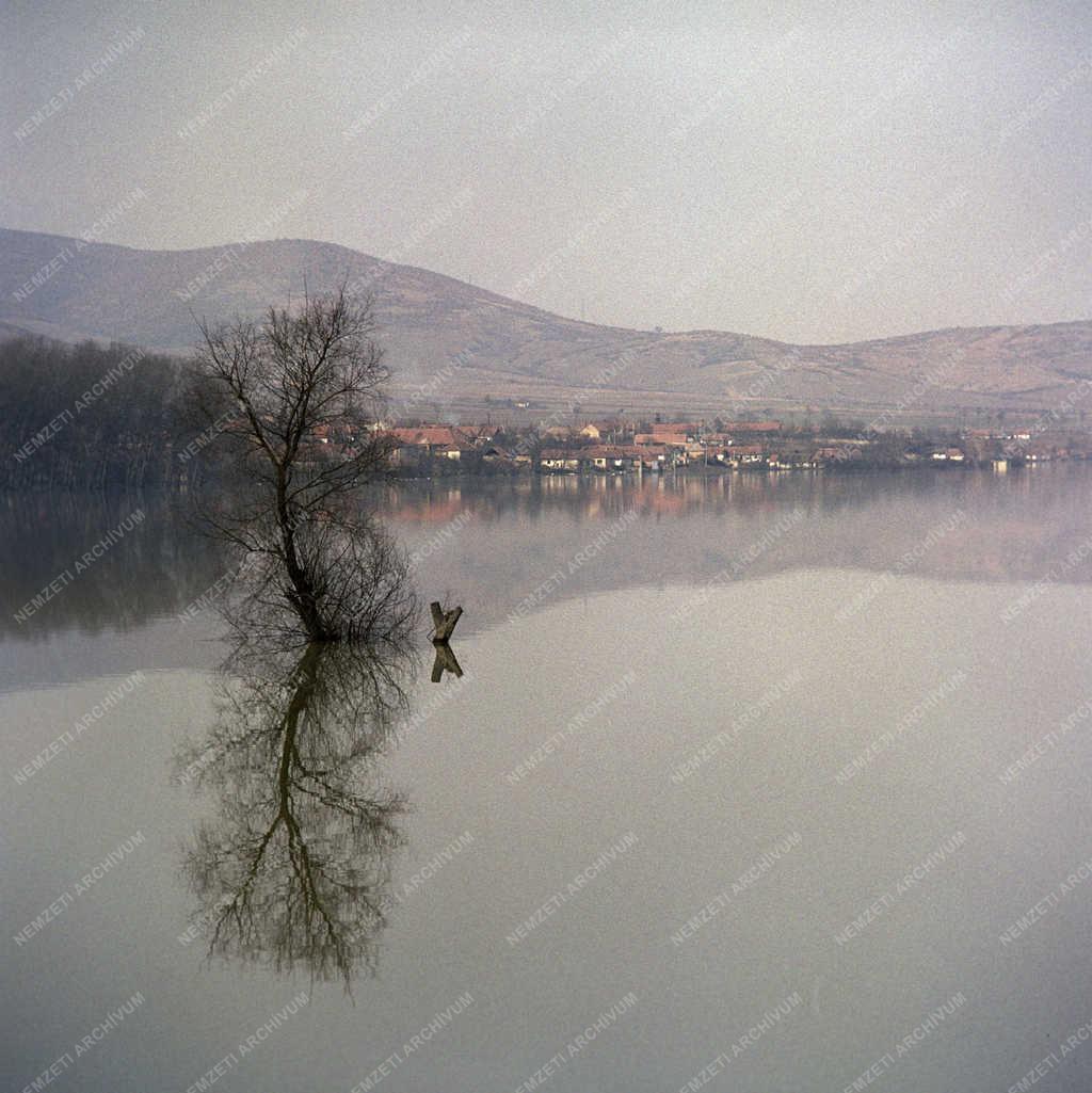Tájkép - Árvíz - Elöntött terület a Bodrogközben
