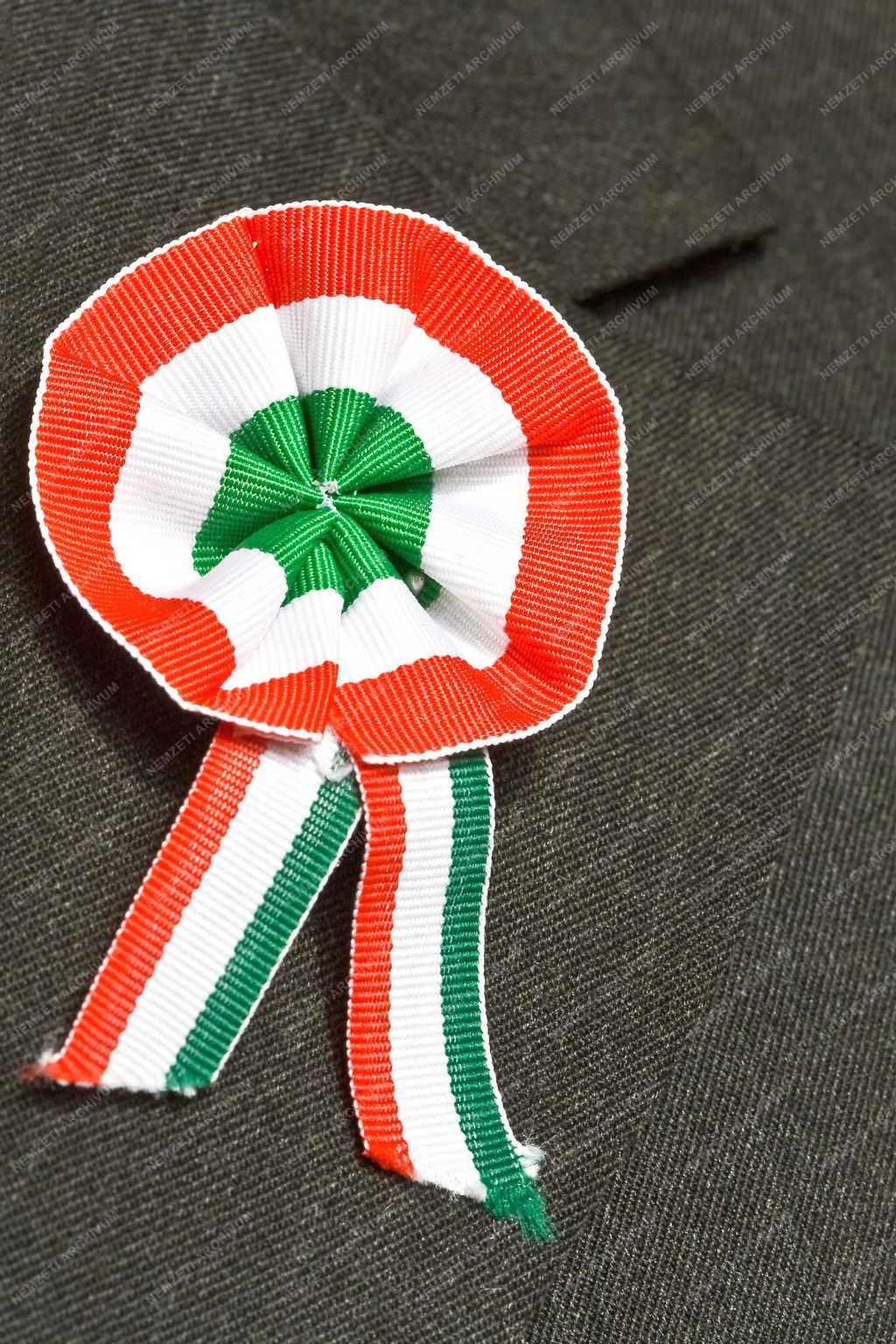 Jelkép - Nemzeti színű kokárda 