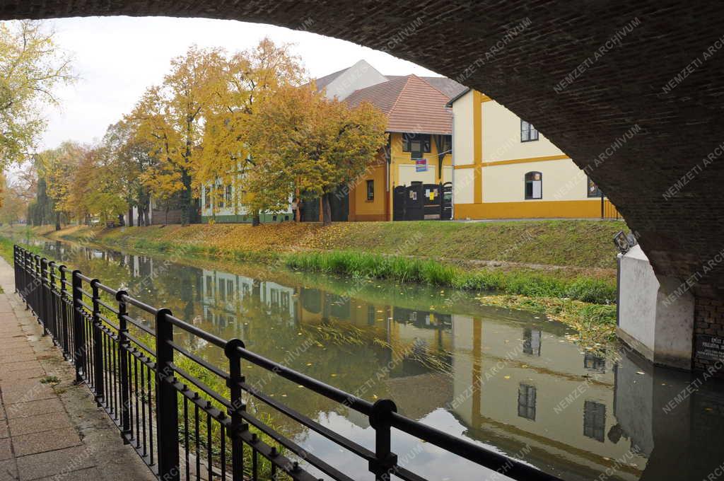 Gyula - Fehér Kőrös parti házak 