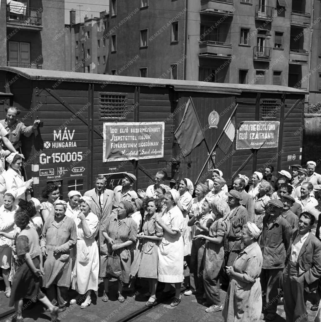 Élelmiszeripar - Első gabona érkezése vidékről