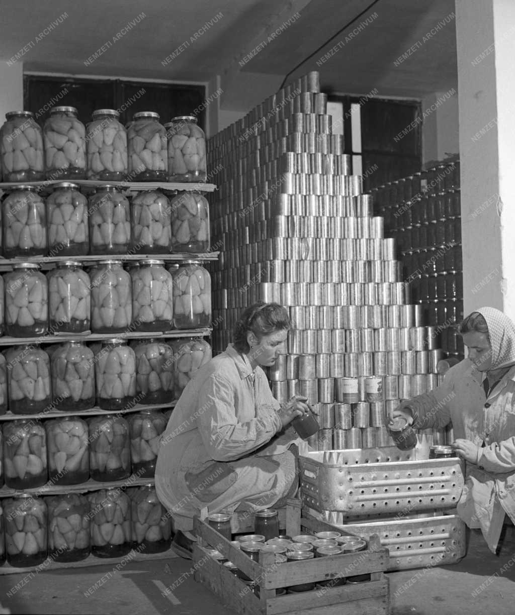 Élelmiszeripar - Paksi Konzervgyár