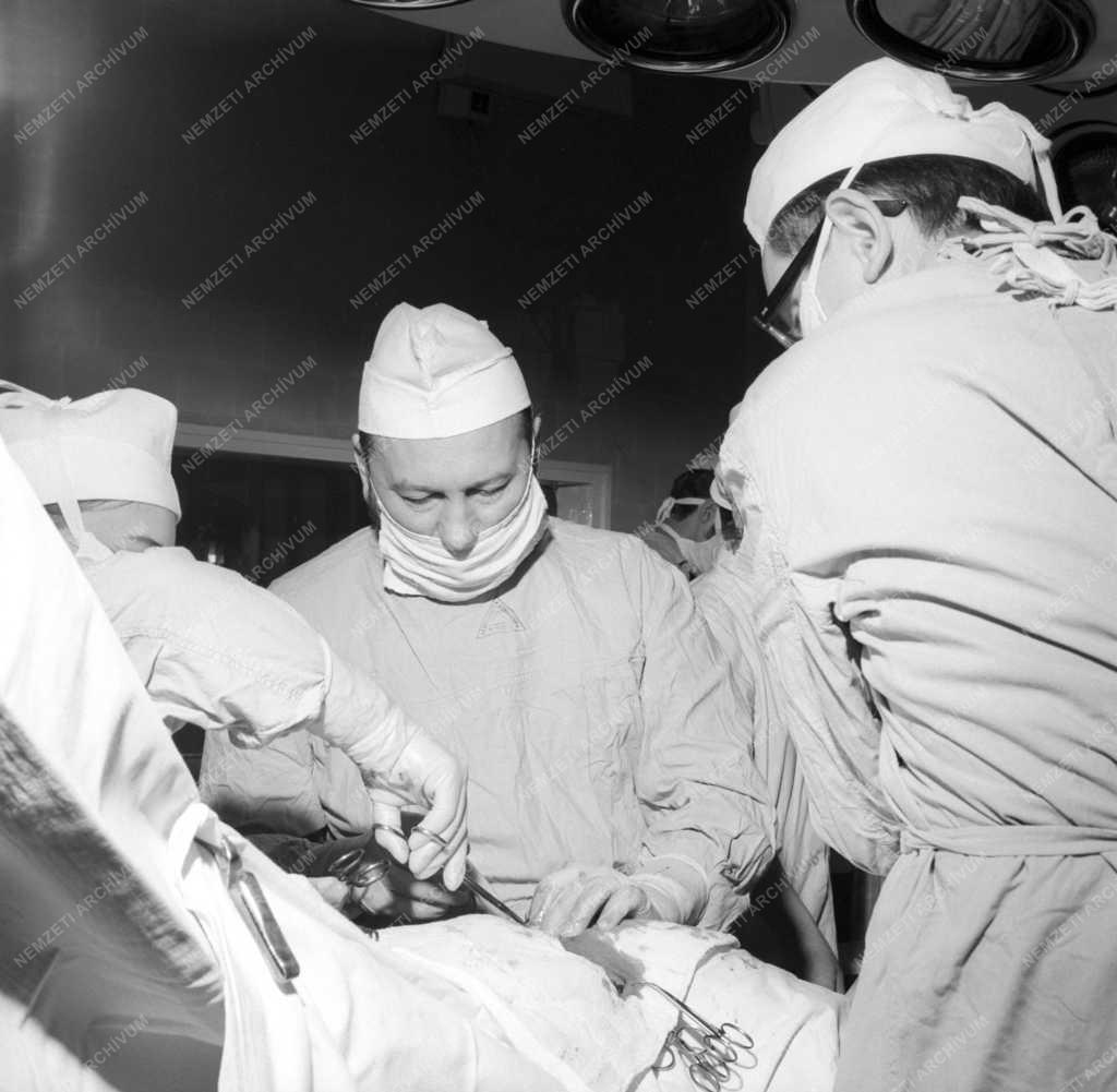 Egészségügy - Az első veseátültetés