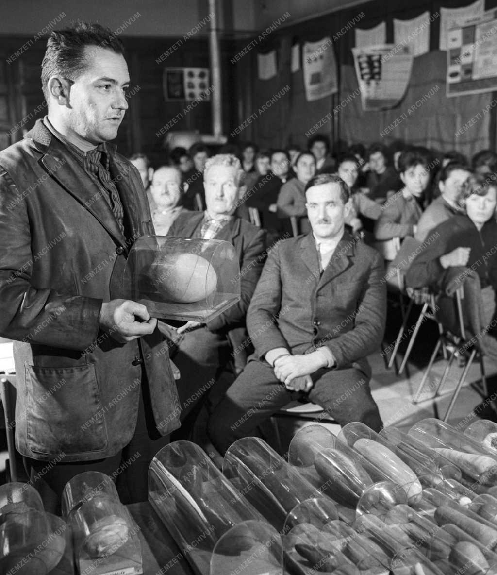 Mezőgazdaság - Oktatás - Elméleti továbbképzés a zöldségtermesztők számára