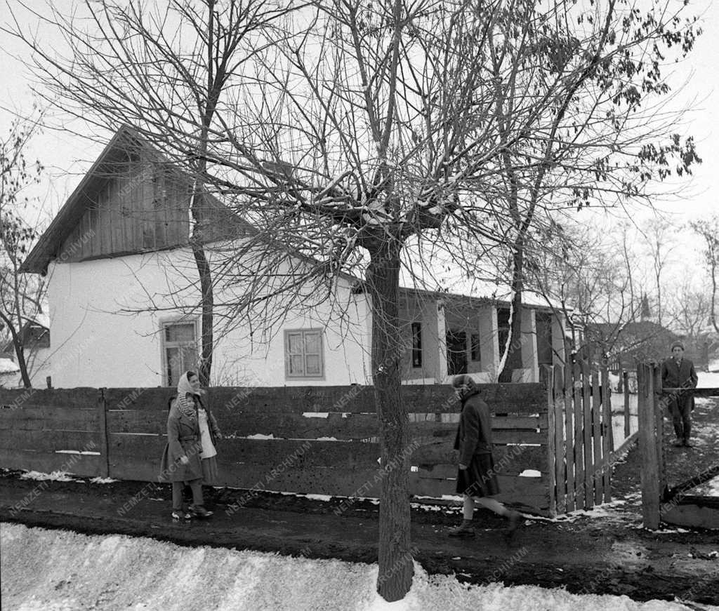 A szerző válogatása - Nádudvari pillanatkép