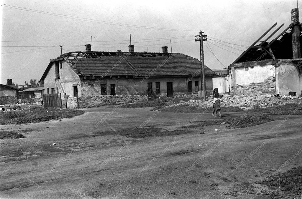 Társadalmi kérdés - Az Auguszta telep felszámolása