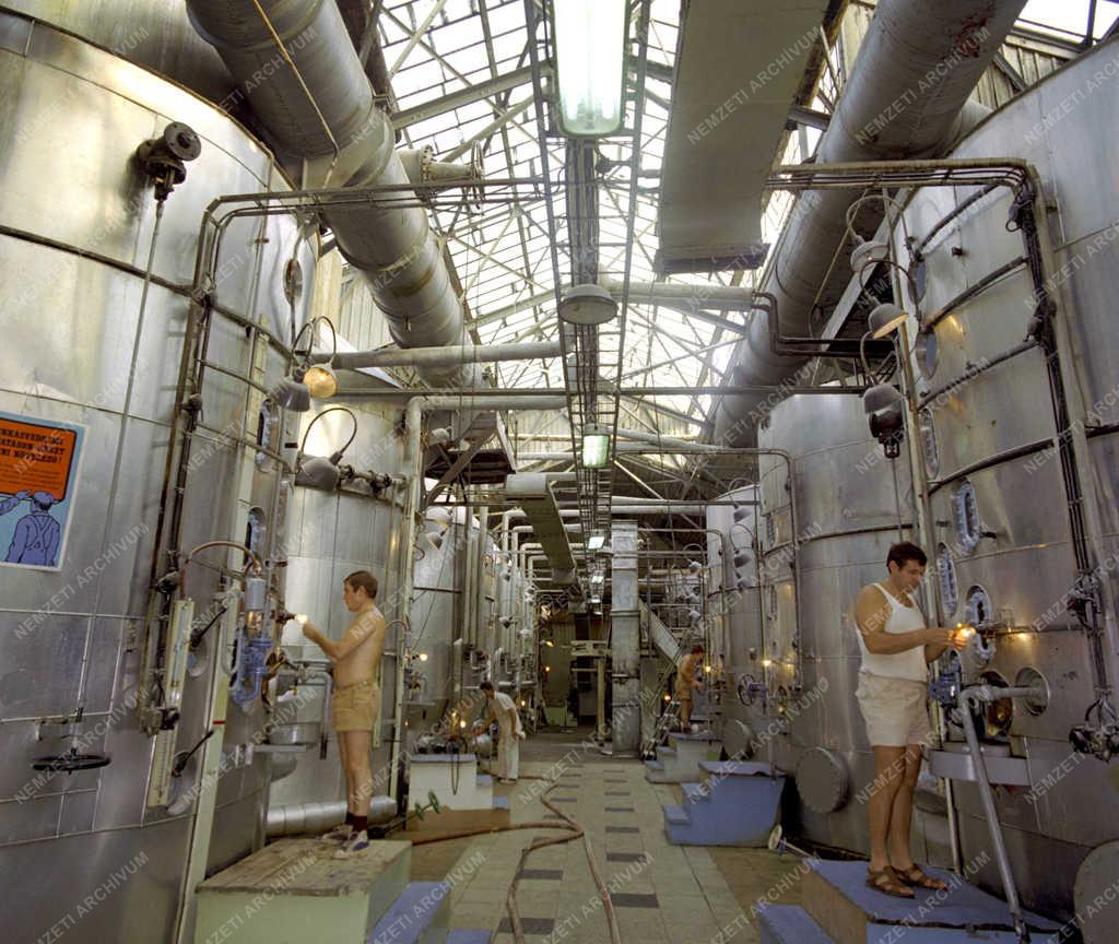 Ipar - Cukorgyártás - A Szolnoki Cukorgyár