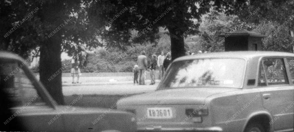 Belpolitika - Demokratikus ellenzék az 1980-as években