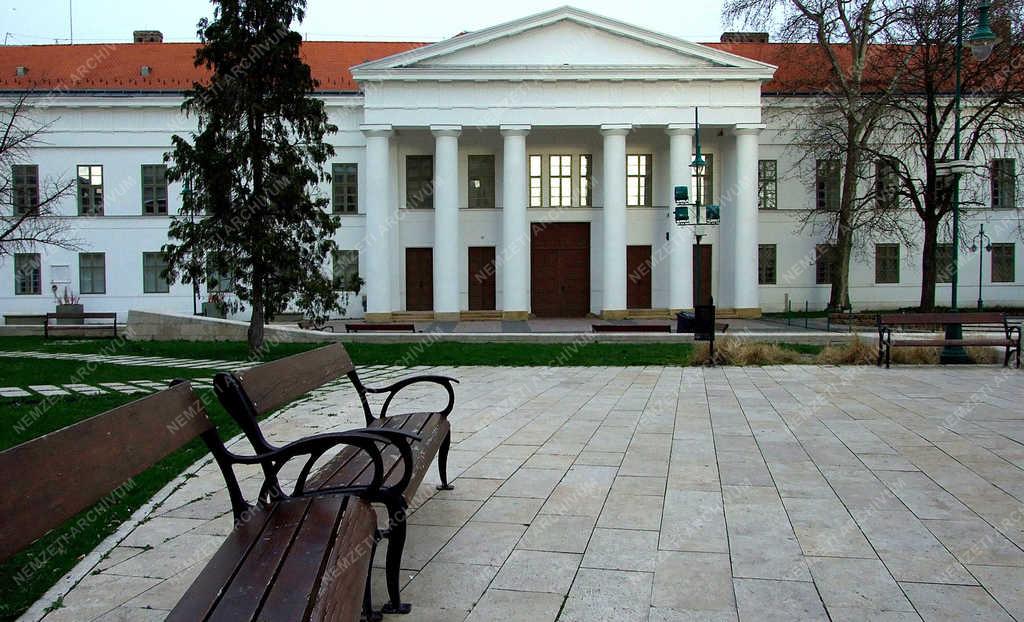 Műemlék épület - Szekszárd - A klasszicista Vármegyeháza