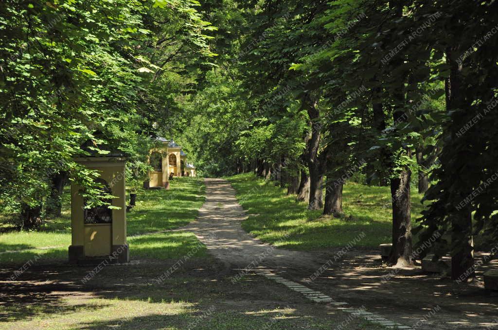 Vác - Hétkápolna templom