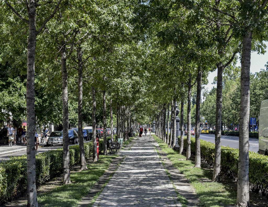 Városkép - Budapest - Andrássy út