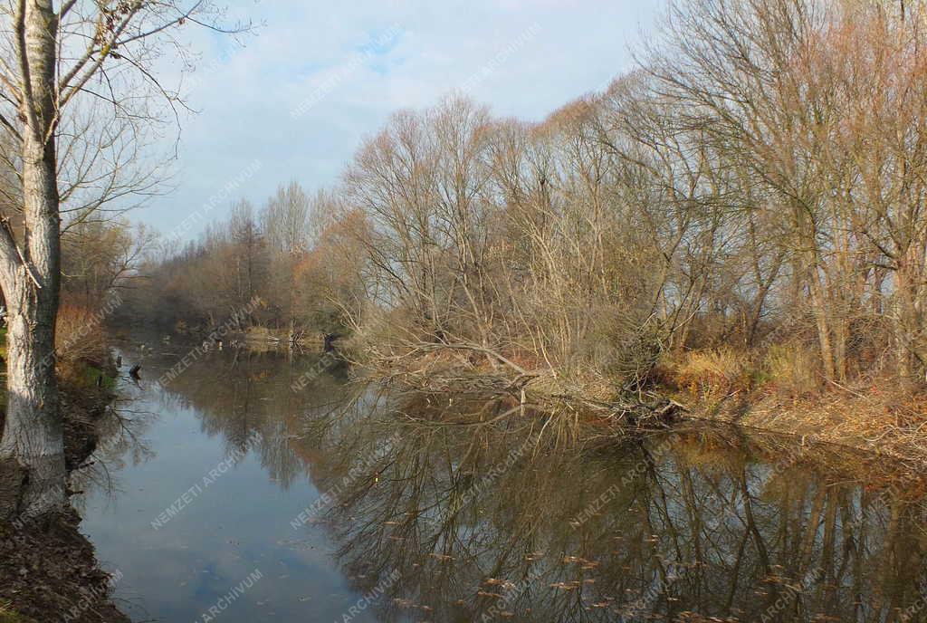 Természet - Letkés - Ipoly holtág