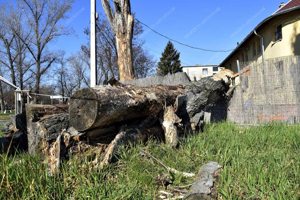 Időjárás - Budapest - Viharkár