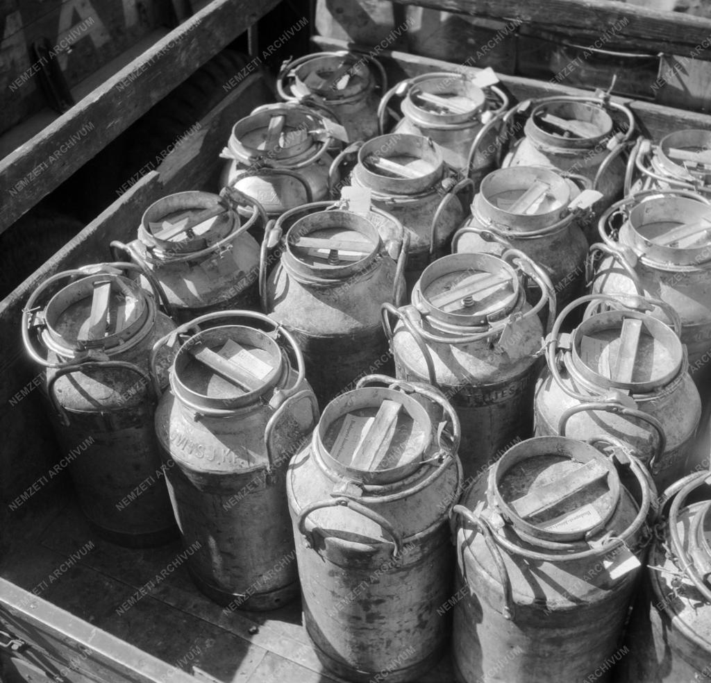 Élelmiszeripar - Magyar Tej- és Tejtermék Forgalmi Rt.