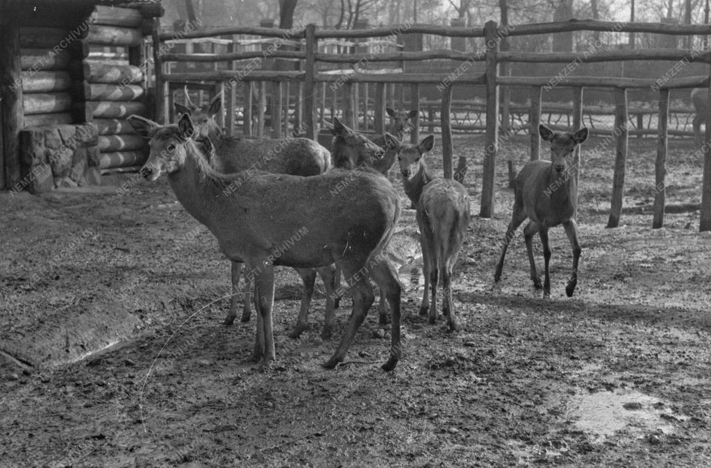 Február 2. az Állatkertben