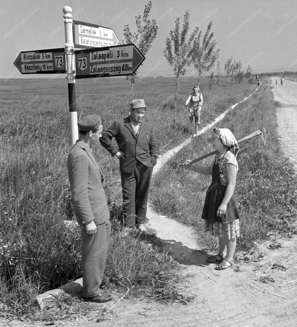Mezőgazdaság - A sármelléki Biztos Jövő Termelőszövetkezet