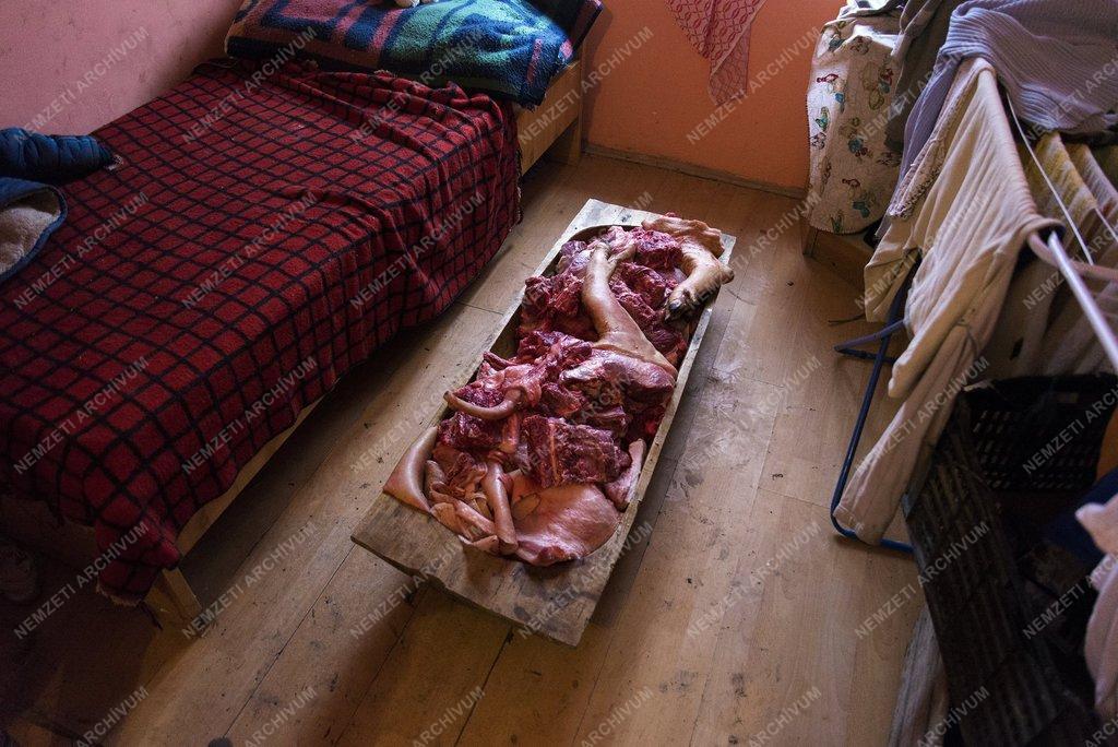 35. Magyar Sajtófotó Pályázat - Sivák Zsófia