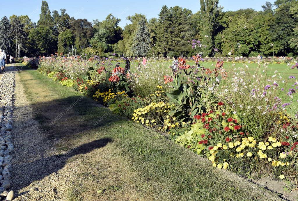 Kegyelet – Covid-emlékkövek a Margitszigeten