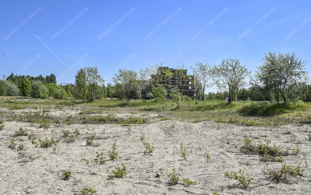 Településfejlesztés - Budapest - A leendő Diákváros és a Fudan Egyetem területe