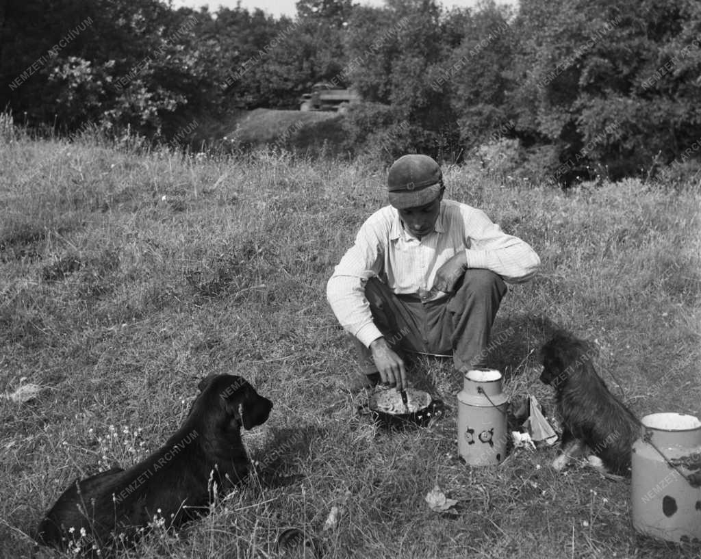 Társadalom - Kisebbségek - Cigánytábor