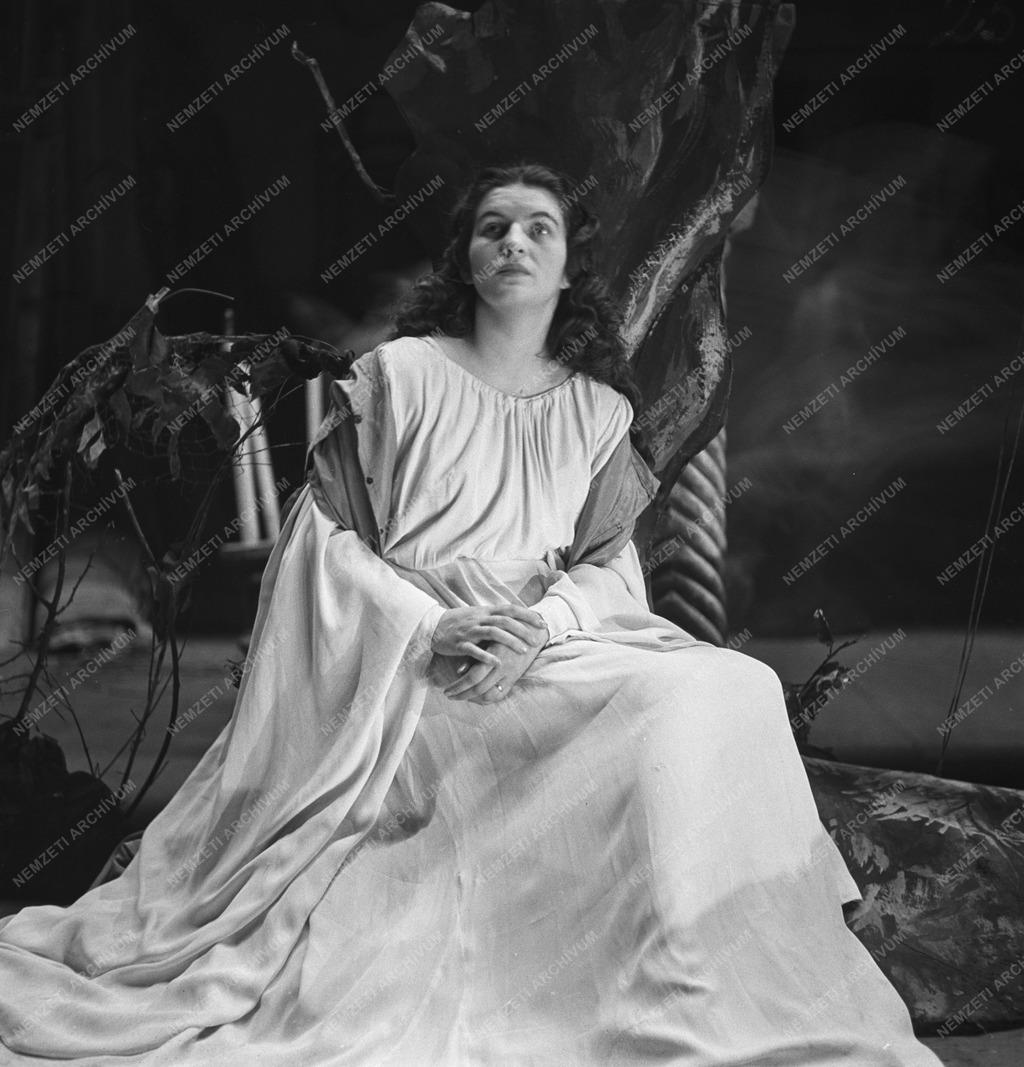 Kultúra - Opera - Erkel Ferenc: Bánk Bán című operája a Magyar Állami Operaházban