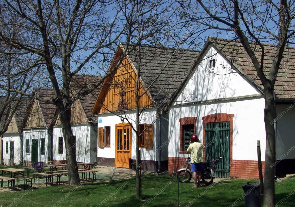 Kultúra - Népi építészet - A györkönyi pincesor