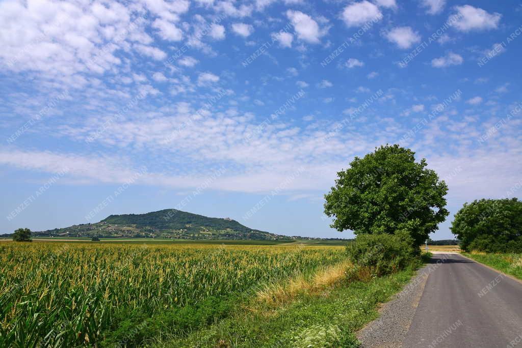 Tájkép - Oroszi - Somló-hegy