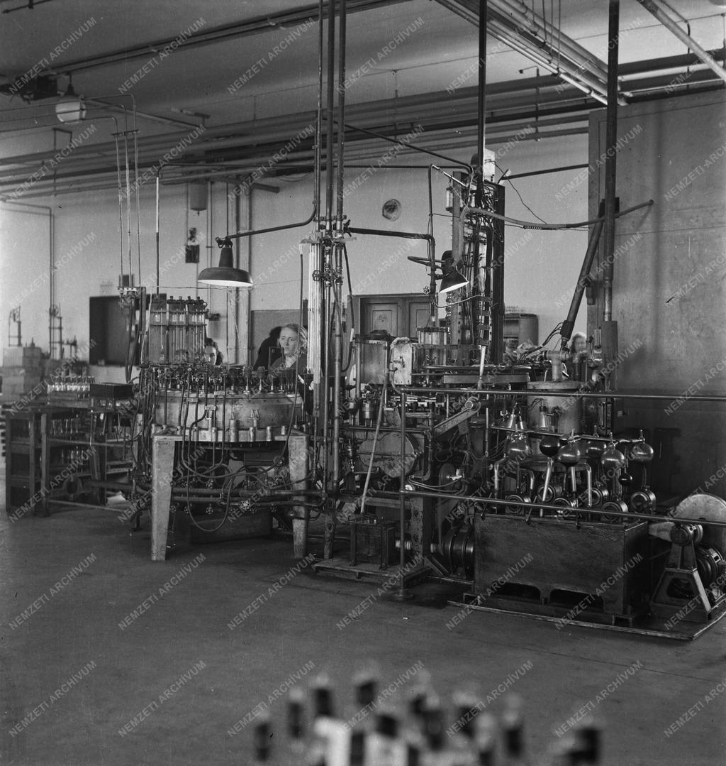 Ipar - Egyesült Izzó