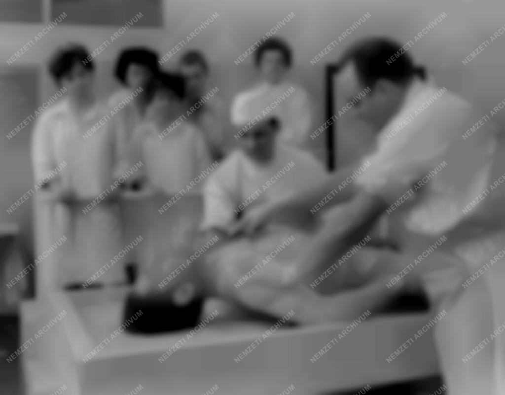 Egészségügy - Miskolci Kórházváros