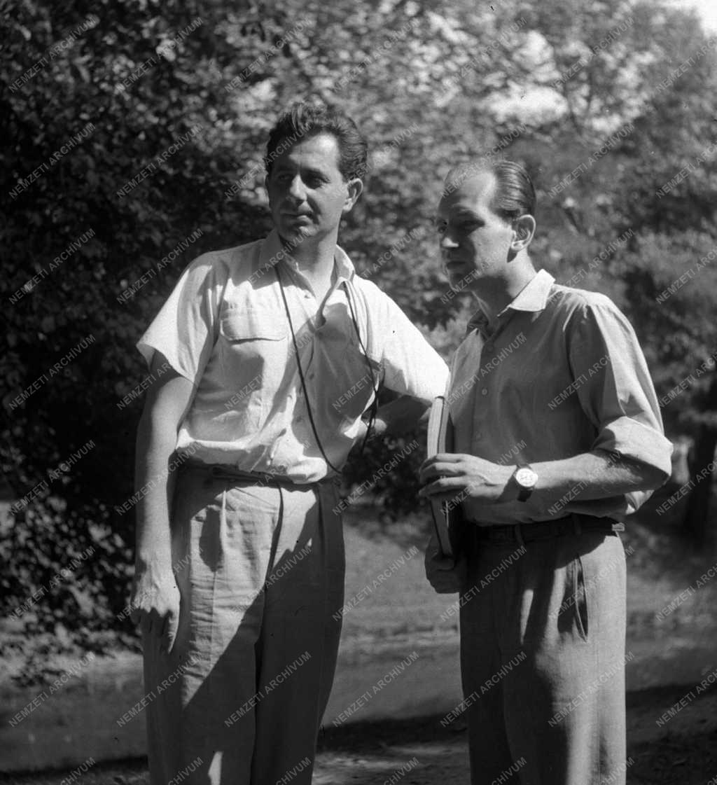 Kultúra - Filmművészet - A 