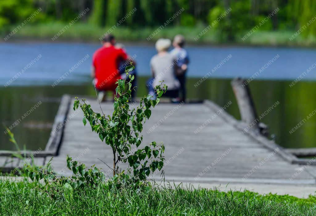 Természet - Debrecen - Vekeri-tó Erdőspusztán