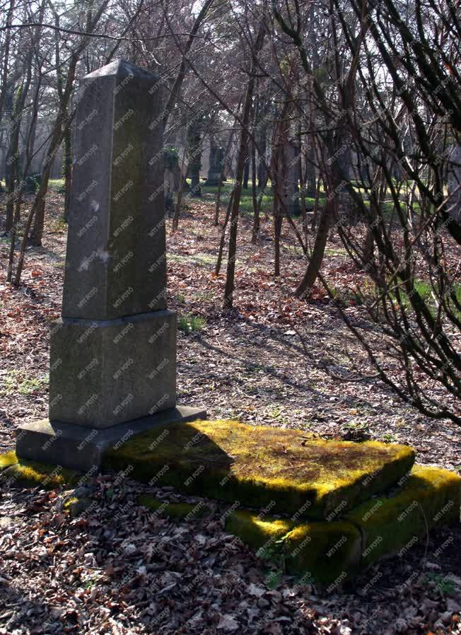 Temető - Magányos régi sír a Fiumei úti Nemzeti Sírkertben