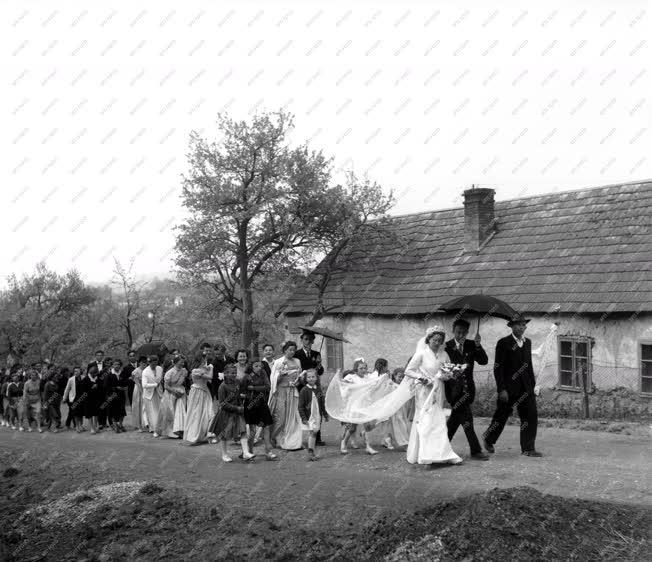 Ünnep - Esküvő - Lakodalmas menet Bajna községbe