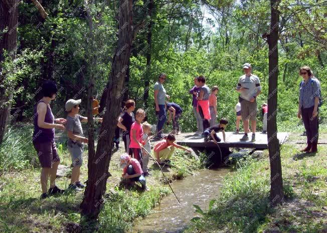 Szabadidő - Várpalota - Gyermeknapi kirándulás a természetbe