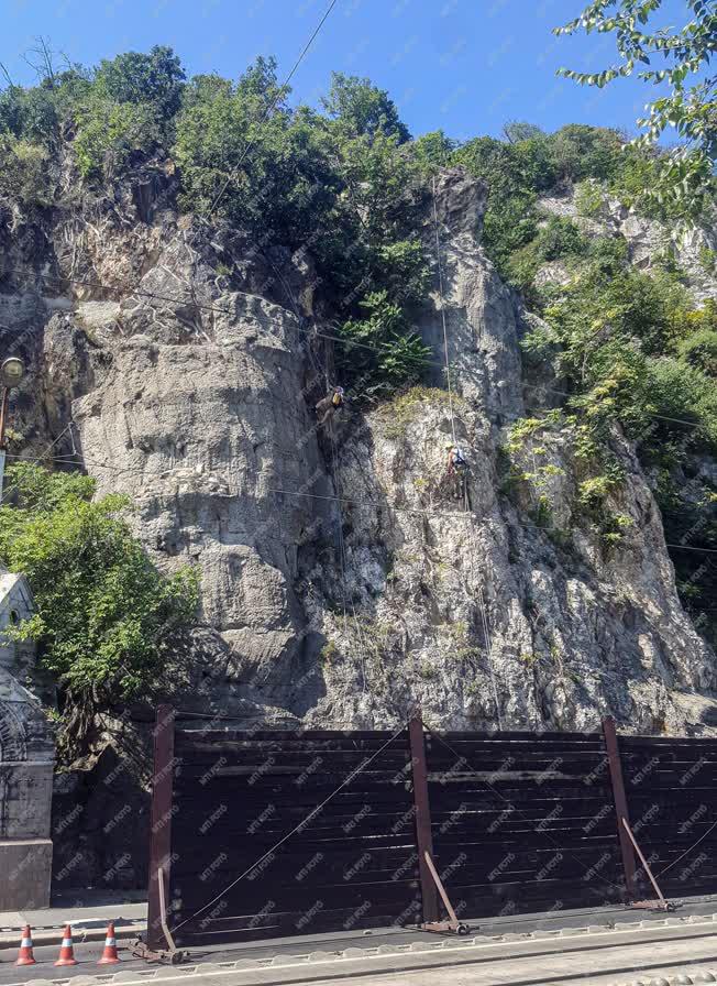 Természetmegőrzés - Budapest - Alpinisták a Gellért-hegyen