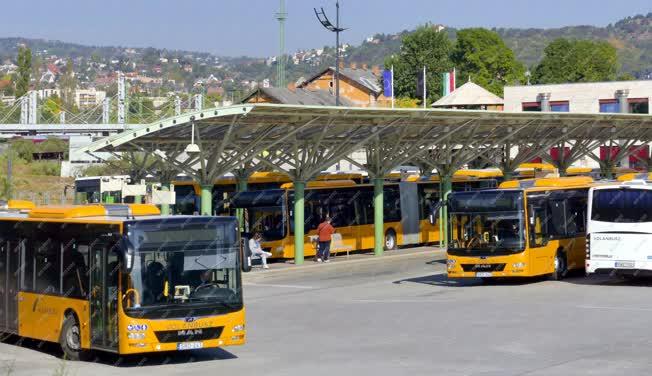 Közlekedés - Budapest - MÁV-Volán-csoport járművei a kelenföldi autóbusz-állomáson