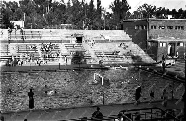 Sport - Vízilabda mérkőzés a  margitszigeti Sportuszodában