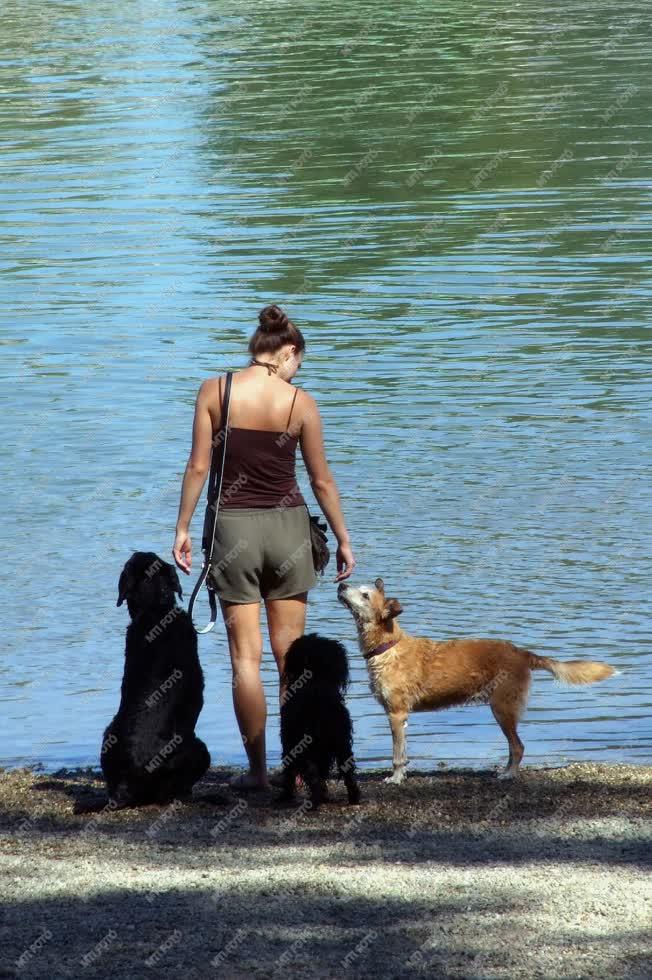 Életkép - Budapest - Kutyák gazdájukkal a Duna-parton