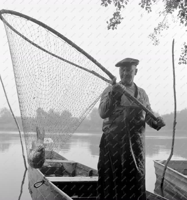 Mezőgazdaság - Halászat - Egy tiszai halász
