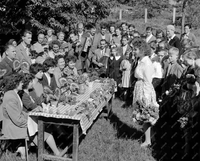 Ünnep - Pedagógusnap Szikáncson