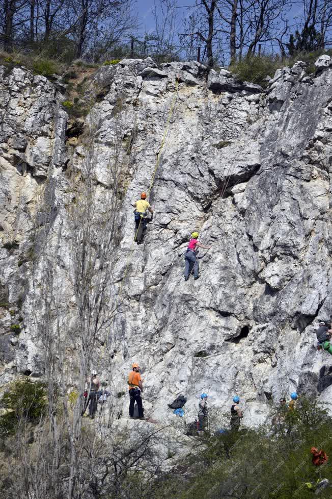 Sport - Budapest - Hegymászók a Róka-hegyen