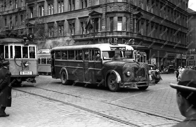 Közlekedés - Harcsa a pesti utcán