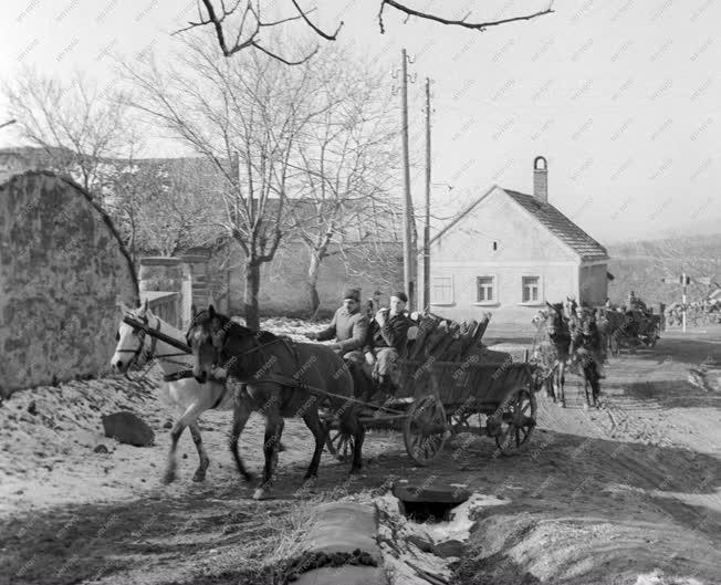 Mezőgazdaság - A lovasi Új Élet Tsz